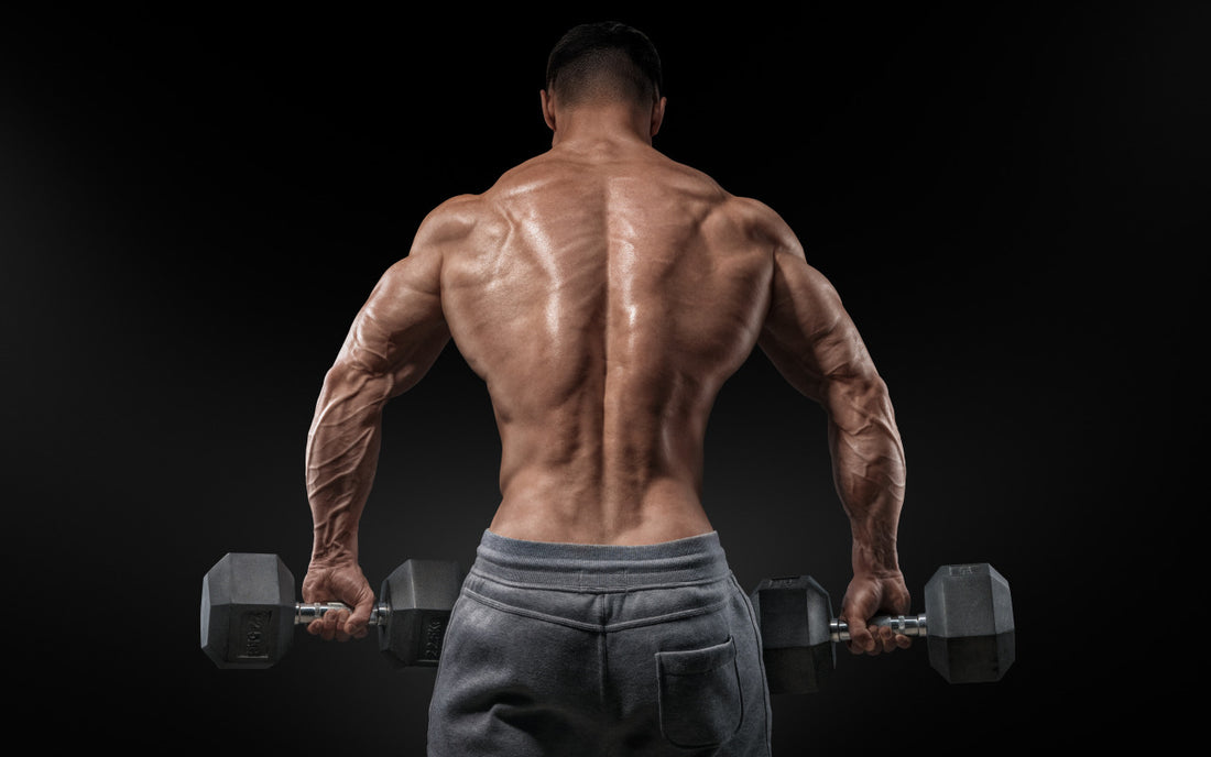 Ghidul stimulatorilor de testosteron
