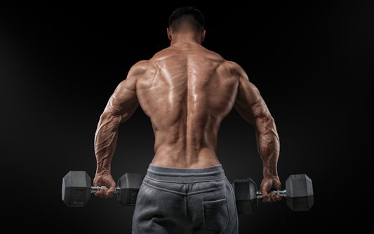 Ghidul stimulatorilor de testosteron